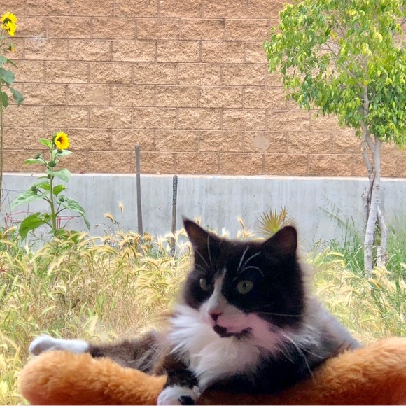 βπ·π Send ALL OFFERβS! I want you to get ποΈποΈ what you πLoveπ! - Picture 7 of 11